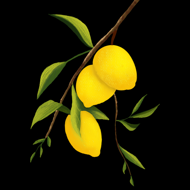 鉴黄师行业洞察：鉴别技巧风险提示