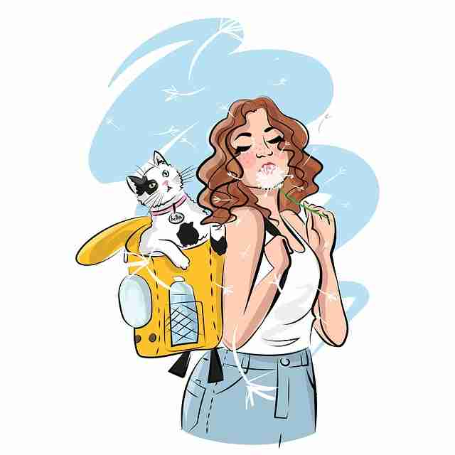 鉴黄师官网数据洞察：用户画像一文看懂