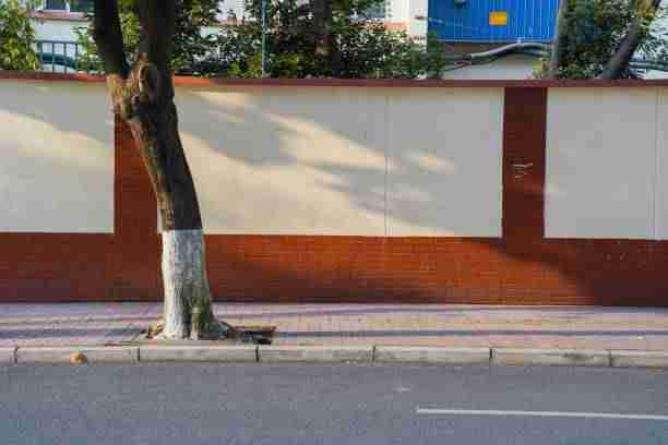 P站入口独家揭秘·变现秘籍案例复盘