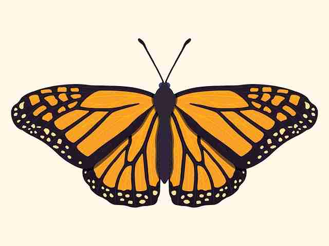 版权大战!51爆料趋势前瞻一文看懂