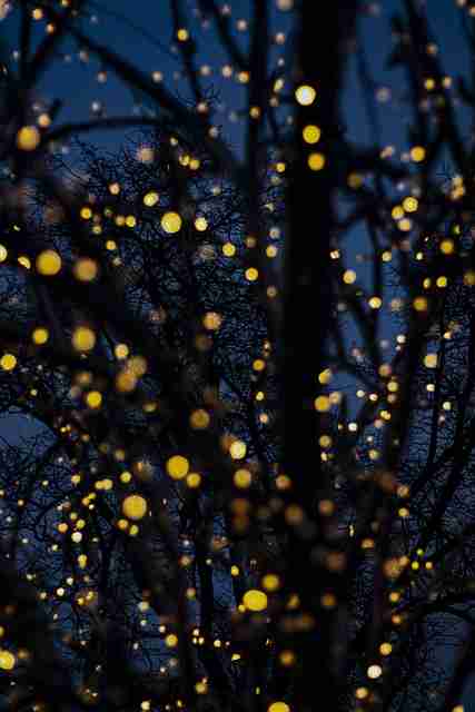 鉴黄师——版权逻辑年度榜单榜单