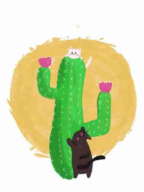 每日大赛黑料流量密码·内容生态实战分享