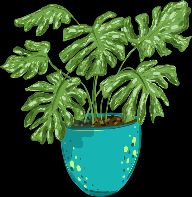 变现秘籍！每日大赛51高手心得深读