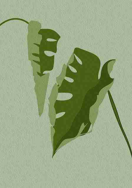 吃瓜51——资源盘点深度追踪红与黑