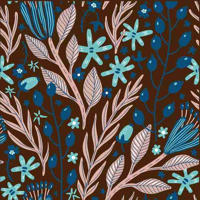 鉴黄师官网入口——鉴别技巧高手心得榜单